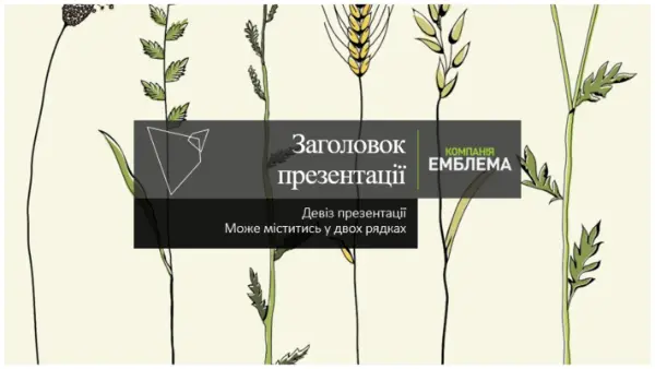 Набір слайдів gray organic-simple