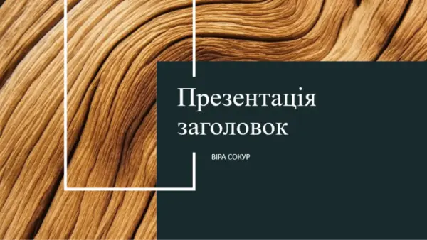 Презентація в кольорі темного дерева brown modern-simple