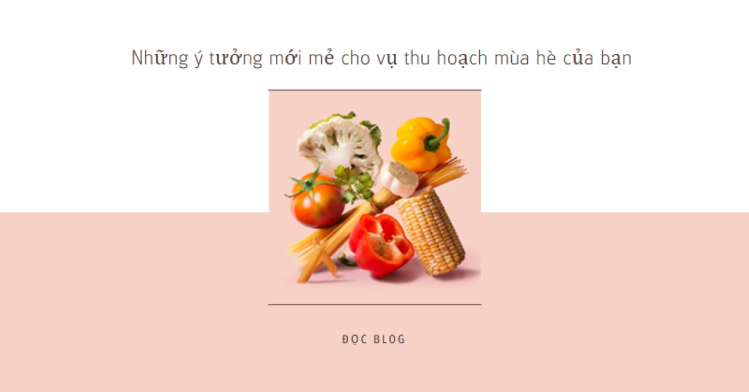 Vụ thu hoạch mùa hè pink modern-simple