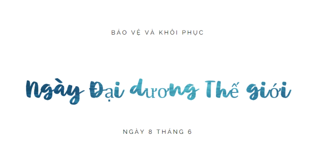 Bảo vệ và khôi phục white modern-simple