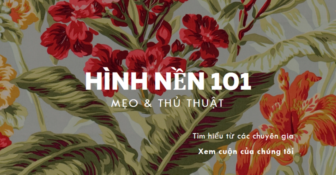 Đã khôi phục hoàn toàn green modern-simple