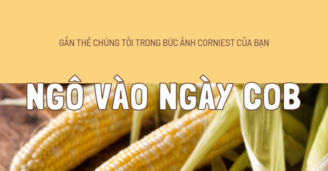 Đội hình cob yellow modern-simple