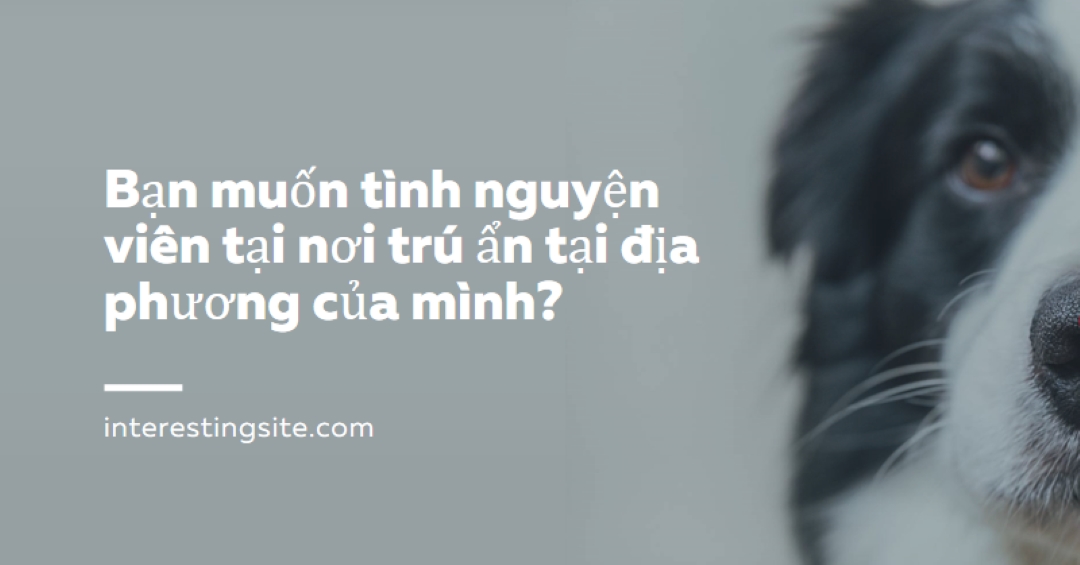 Tình nguyện viên và mang lại vui vẻ blue modern-simple