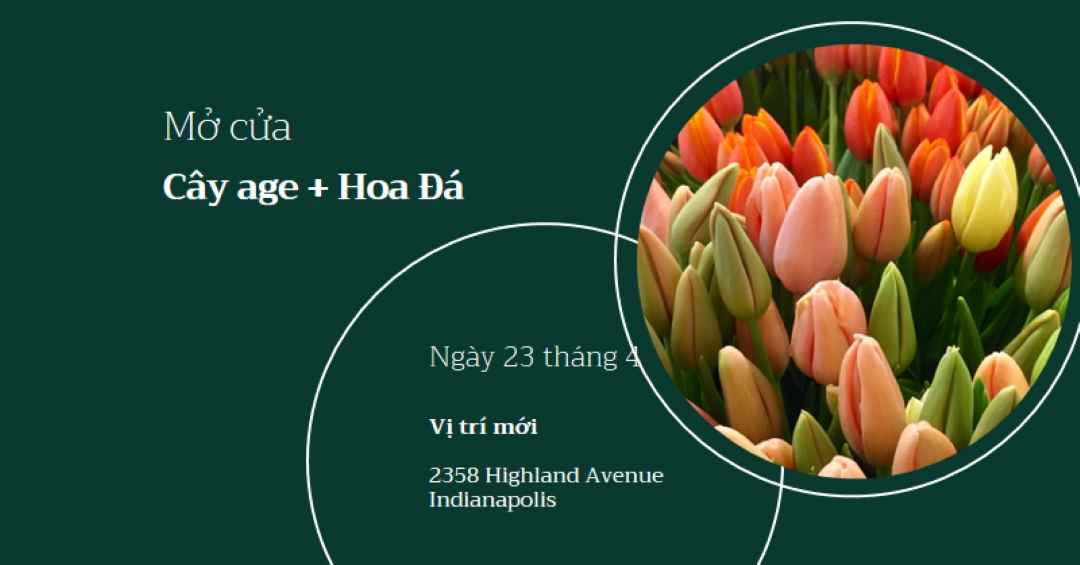 Mở cửa hàng hoa green modern-simple