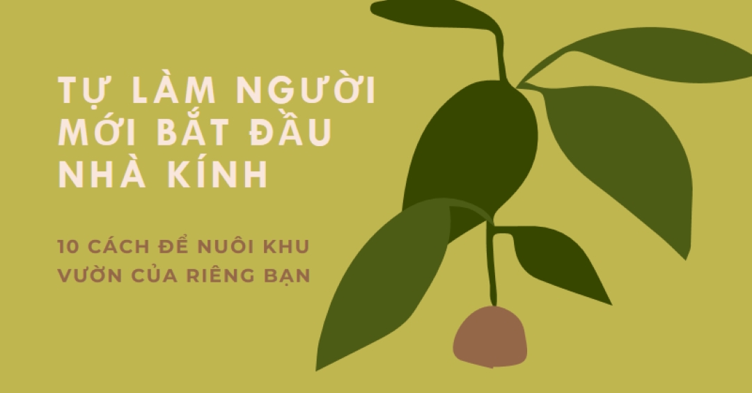 Nâng cao khu vườn của riêng bạn green modern-color-block