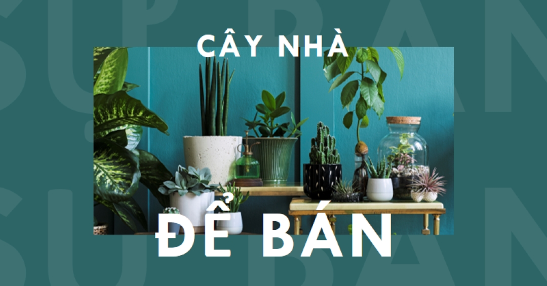 Điện nhà máy green modern-bold
