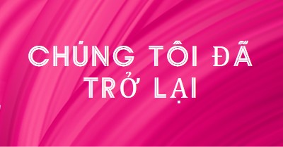 Câu chuyện ngược pink modern-bold