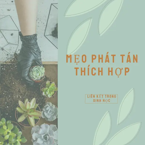 Đơn giản là mọng nước green organic-simple