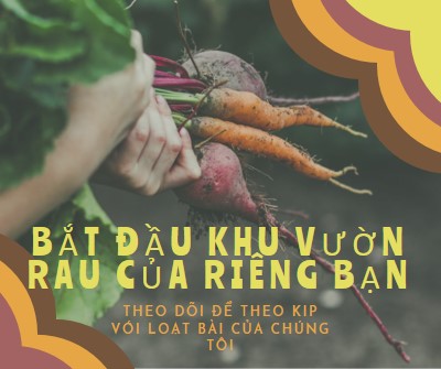 Cuộc sống rối trí orange vintage-retro