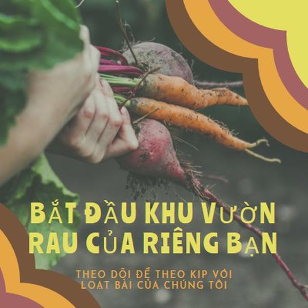 Cuộc sống rối trí orange vintage-retro