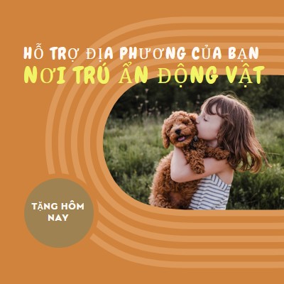 Người trợ giúp về nơi trú ẩn orange whimsical-color-block