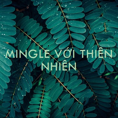 Mingle với thiên nhiên green modern-simple