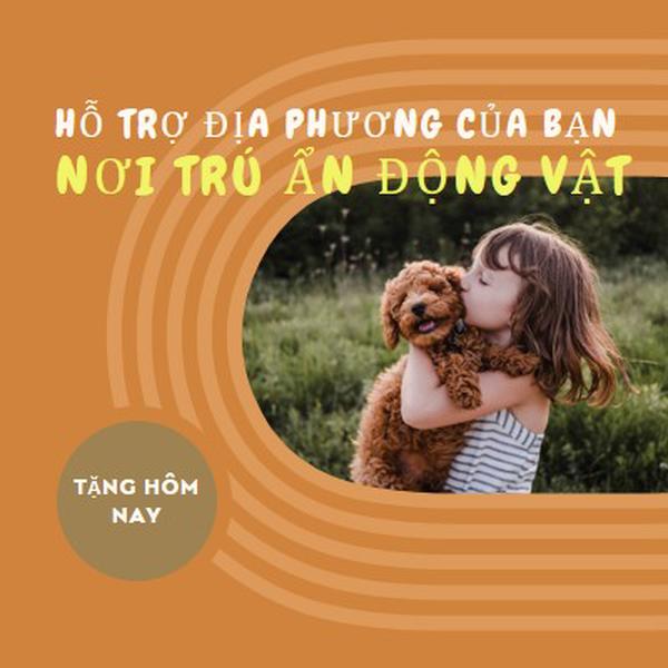 Người trợ giúp về nơi trú ẩn orange whimsical-color-block