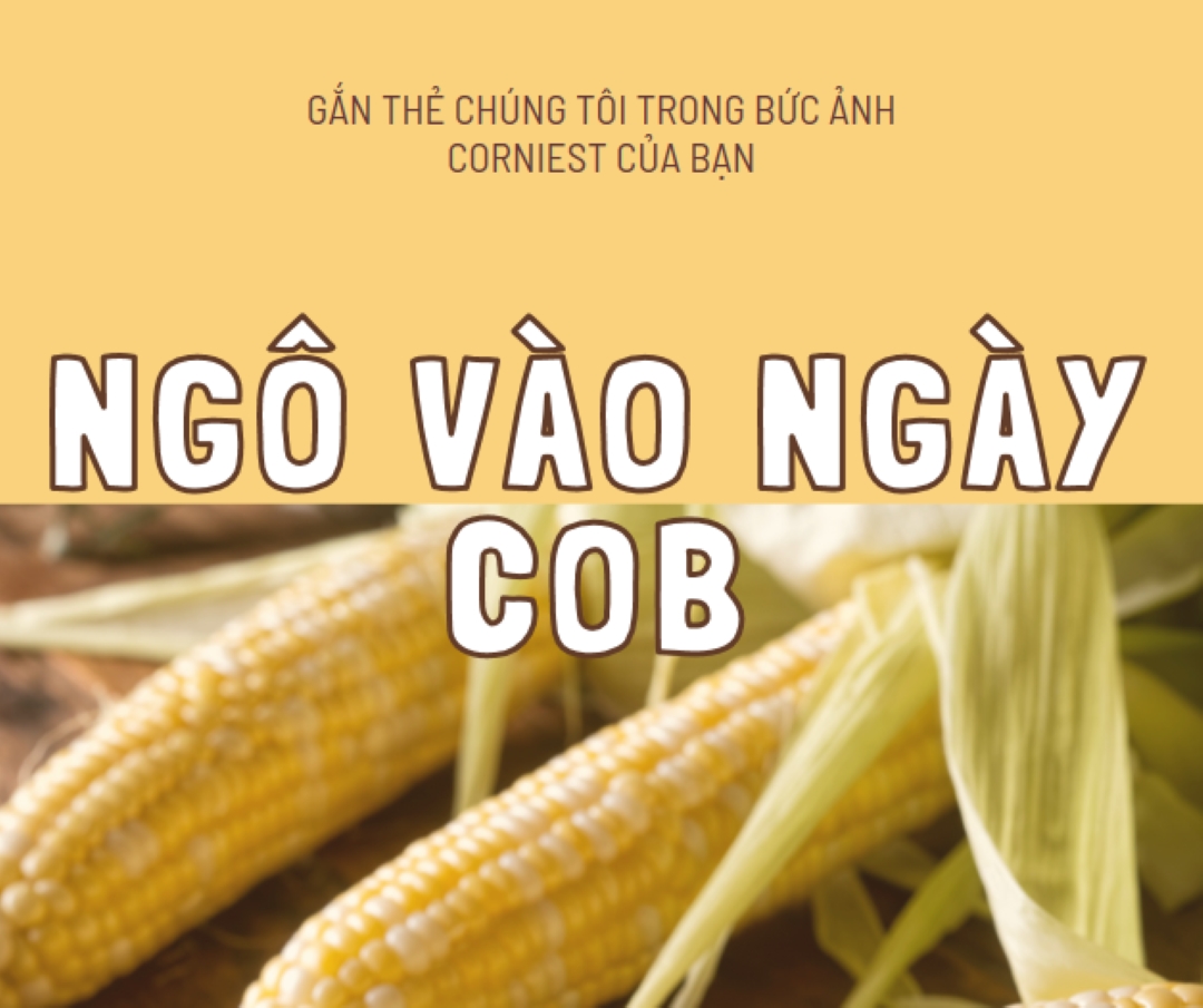 Đội hình cob yellow modern-simple