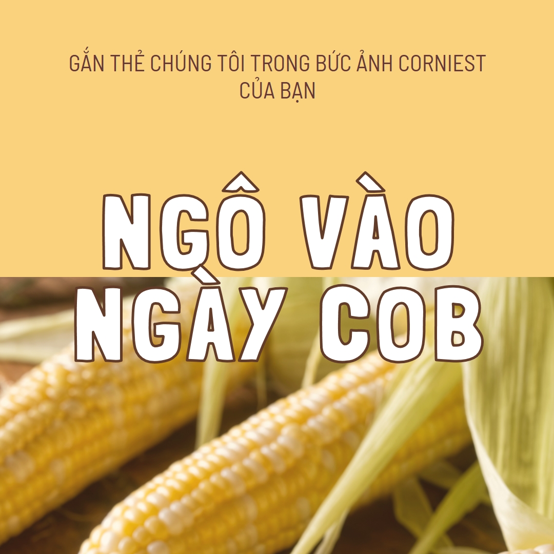 Đội hình cob yellow modern-simple