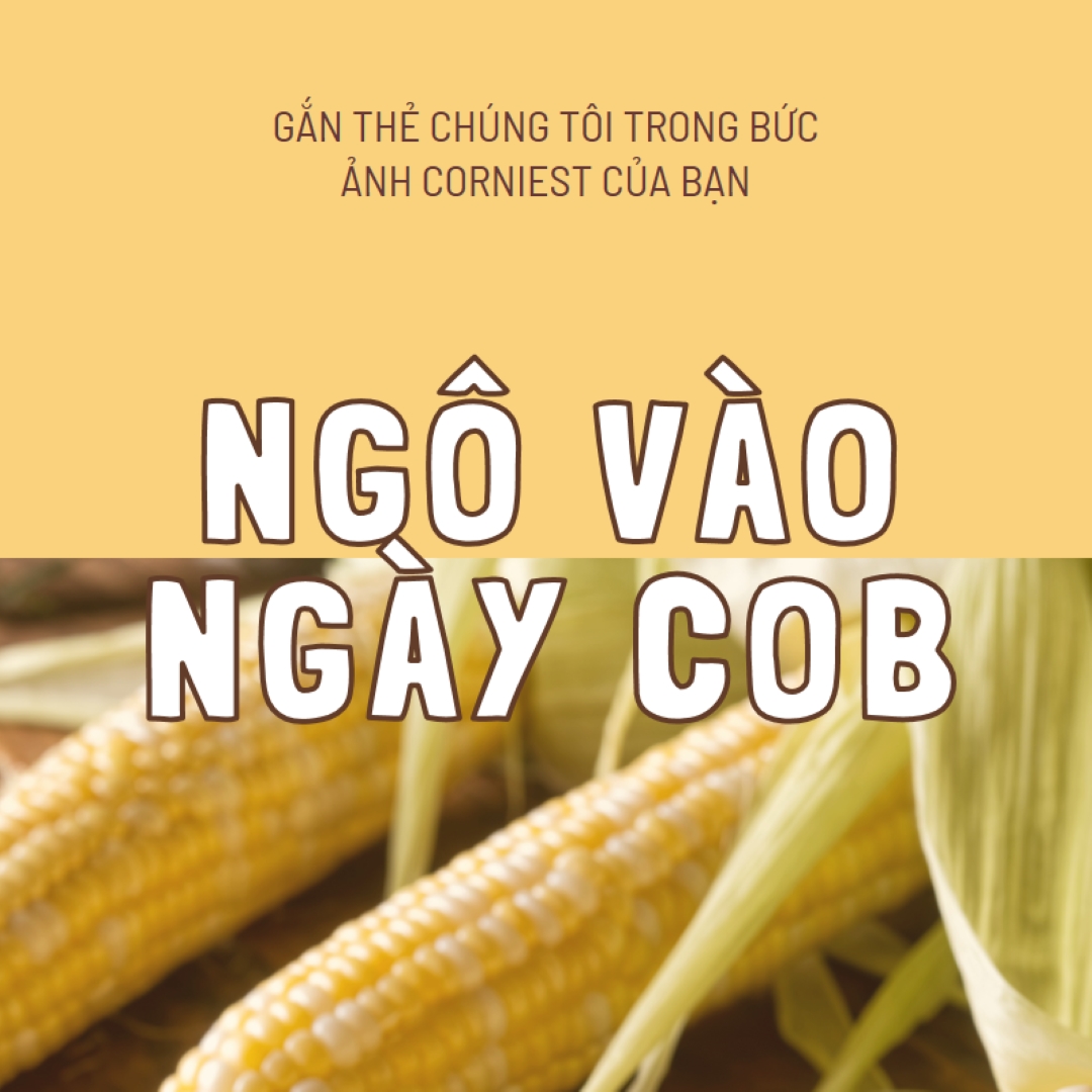 Đội hình cob yellow modern-simple