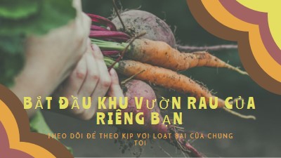 Cuộc sống rối trí orange vintage-retro