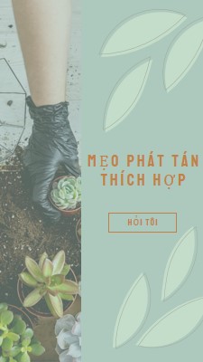 Đơn giản là mọng nước green organic-simple