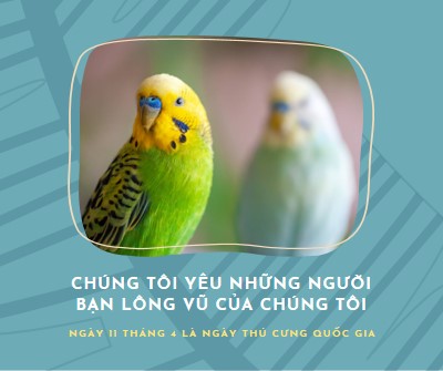 Lông vũ cùng nhau blue organic-simple