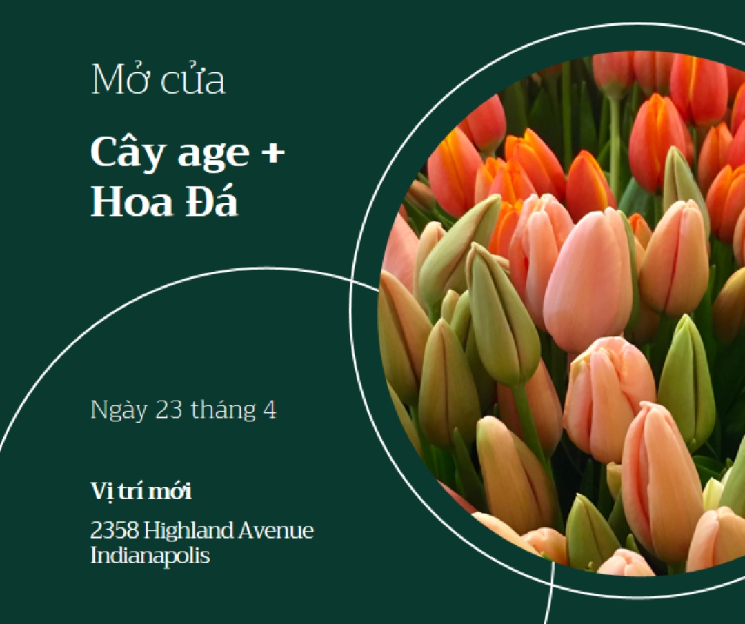 Mở cửa hàng hoa green modern-simple
