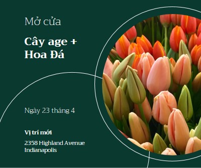 Mở cửa hàng hoa green modern-simple