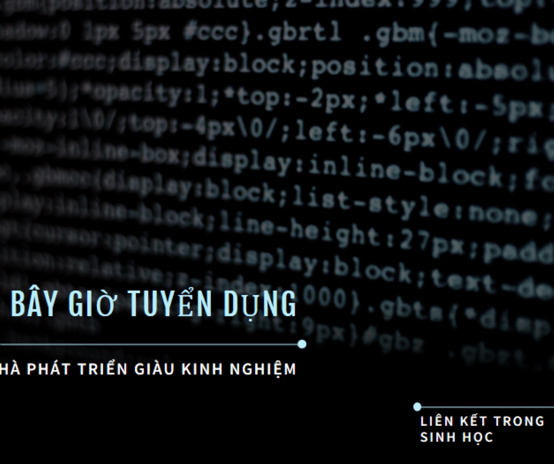 Phát triển tình hình black modern-bold