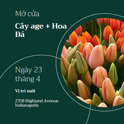 Mở cửa hàng hoa green modern-simple