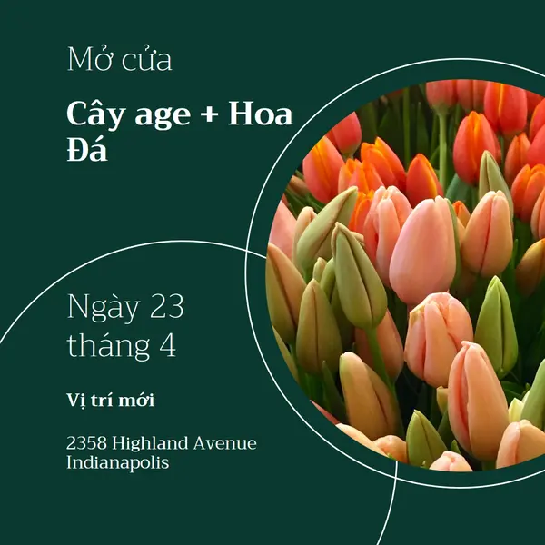 Mở cửa hàng hoa green modern-simple