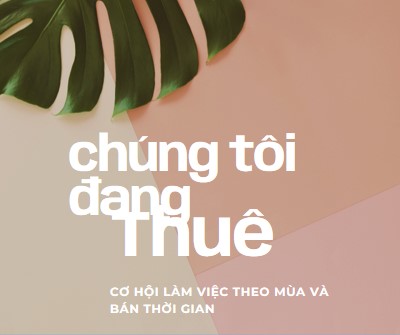 Chúng tôi đang thuê lao động theo thời vụ pink modern-simple