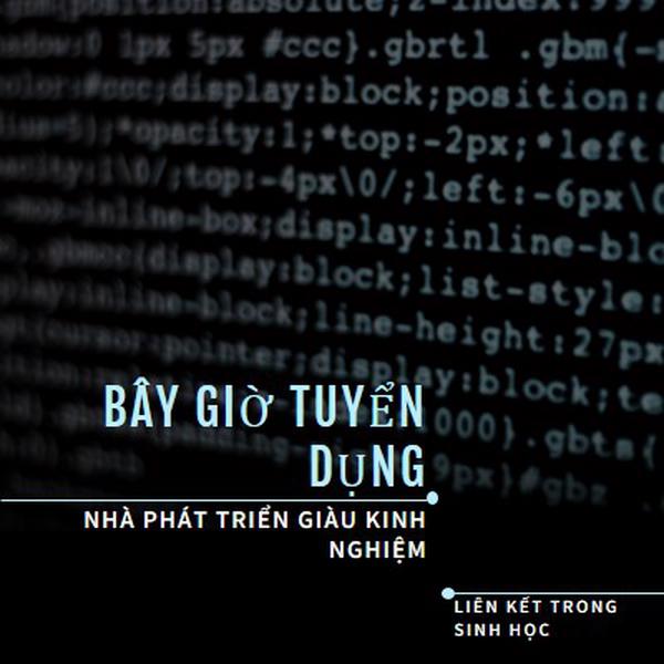 Phát triển tình hình black modern-bold