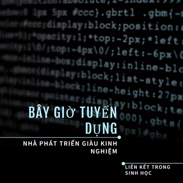 Phát triển tình hình black modern-bold