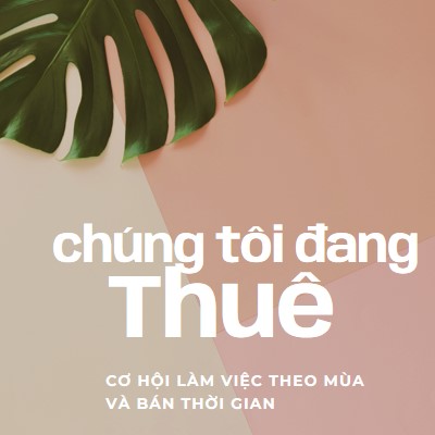 Chúng tôi đang thuê lao động theo thời vụ pink modern-simple