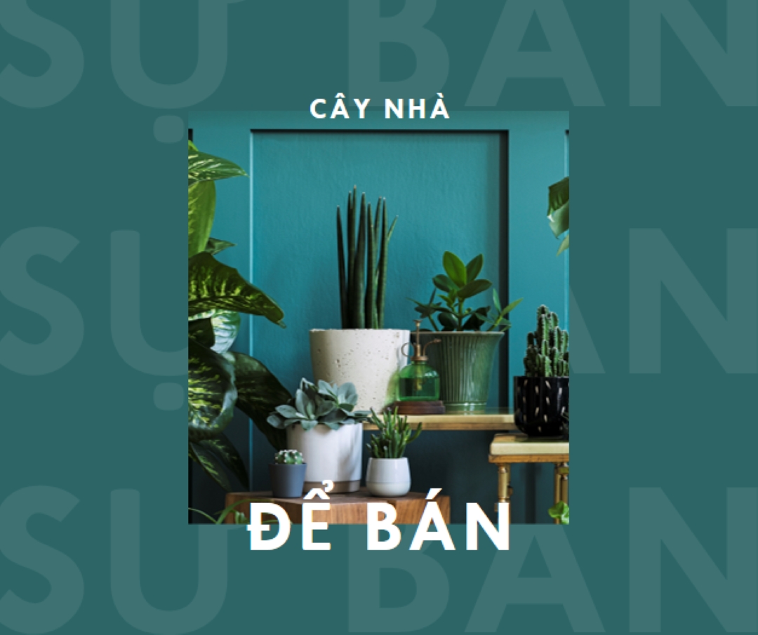Điện nhà máy green modern-bold