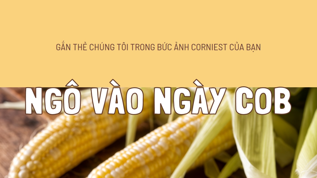 Đội hình cob yellow modern-simple