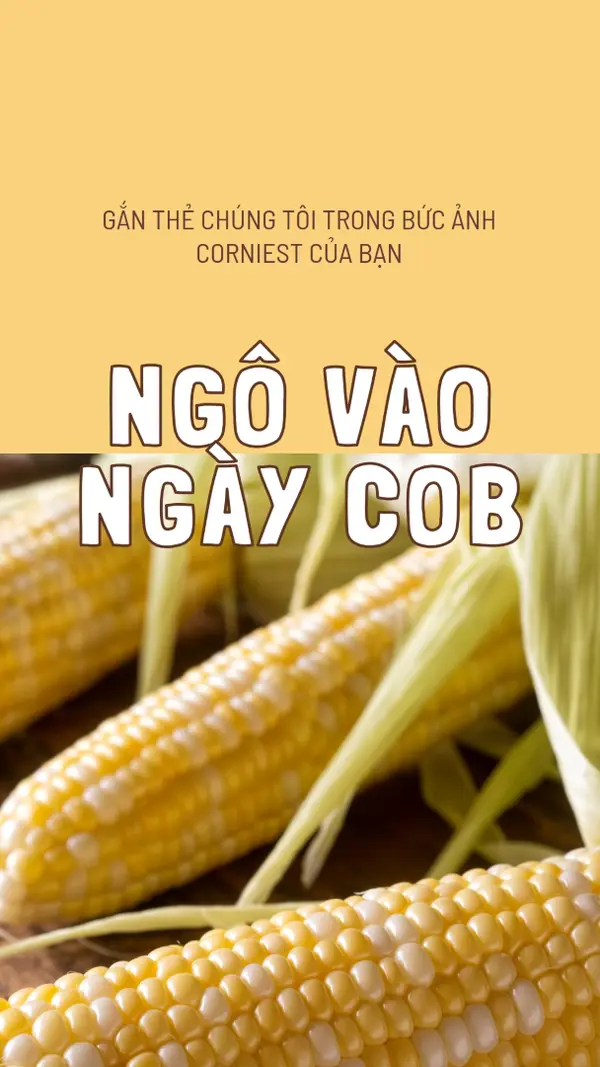 Đội hình cob yellow modern-simple