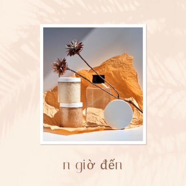 Mới đến trong kho brown clean,frame,collage,simple,natural,botanical