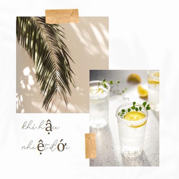Rung cảm cocktail nhiệt đới white photographic,collage,minimal,scrapbook,handwriting,botanical,