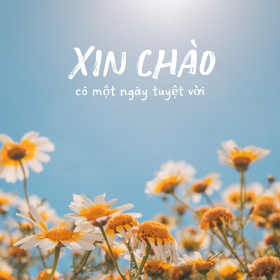 Có một ngày tuyệt vời blue modern,simple,photography,flowers,birght,fresh