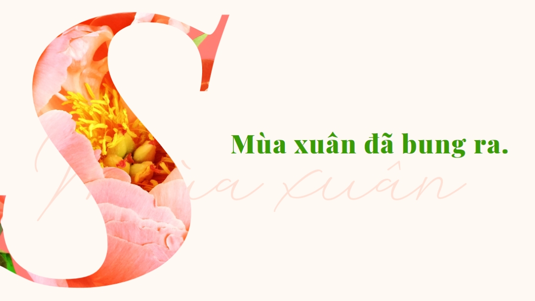 Mùa xuân preening pink vintage-botanical