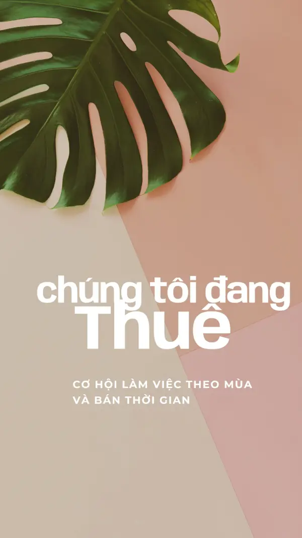 Chúng tôi đang thuê lao động theo thời vụ pink modern-simple