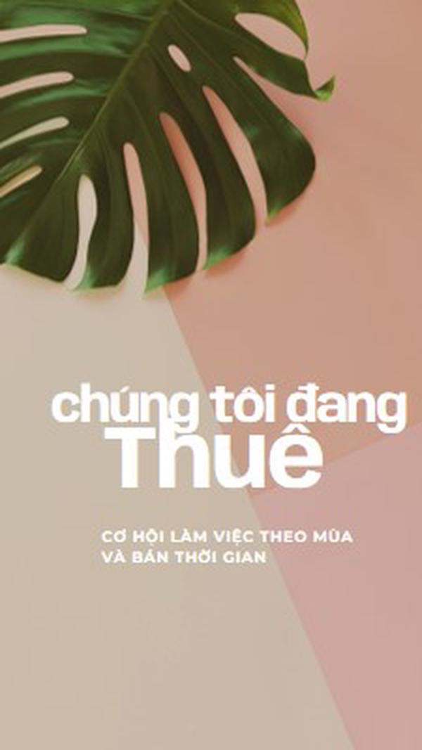 Chúng tôi đang thuê lao động theo thời vụ pink modern-simple