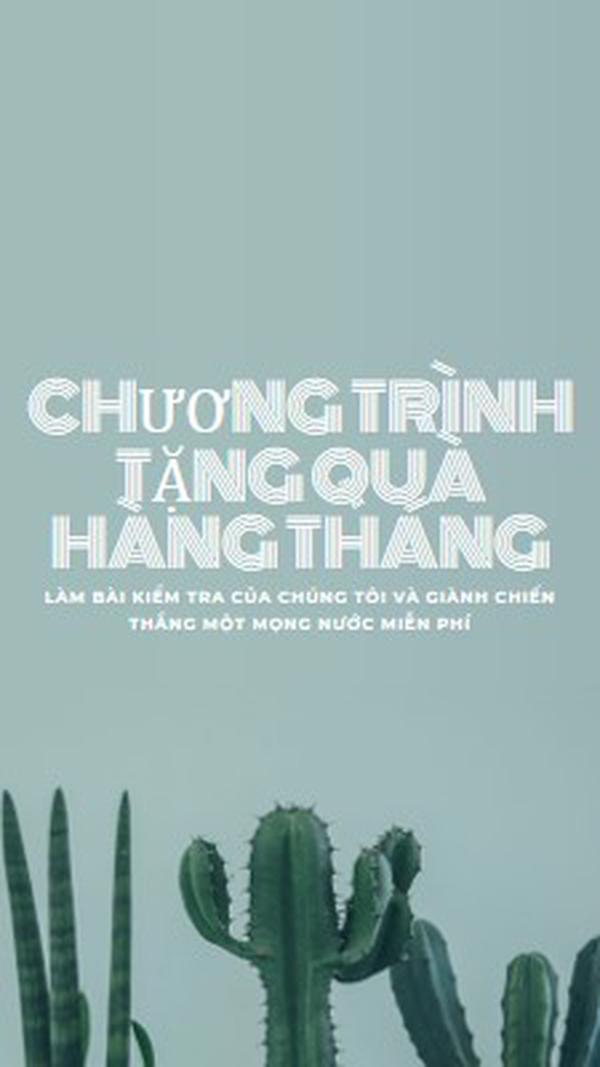 Bài kiểm tra tặng quà hàng tháng green modern-simple