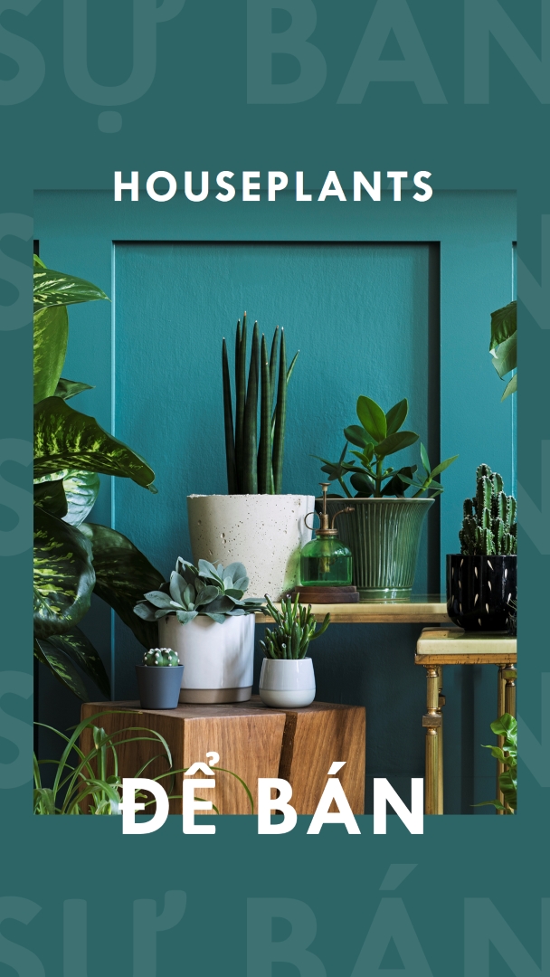 Điện nhà máy green modern-bold