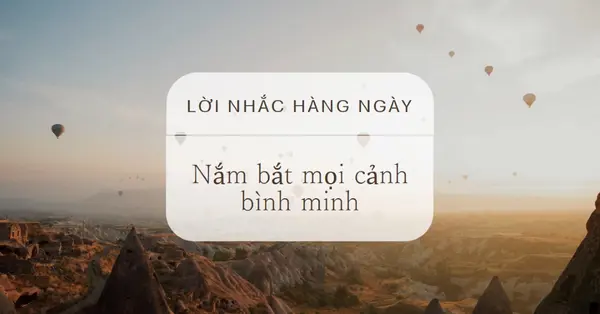 Nắm bắt mọi cảnh bình minh brown modern,photo,notification,simple,elegant,