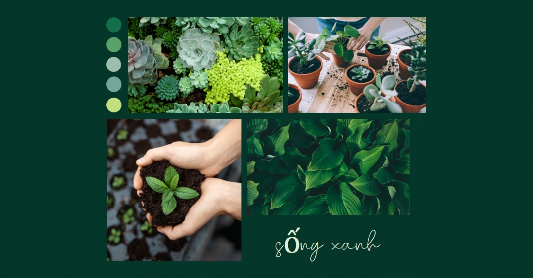 Sống ngón cái xanh green photographic,simple,collage,palette,handwriting,graphic