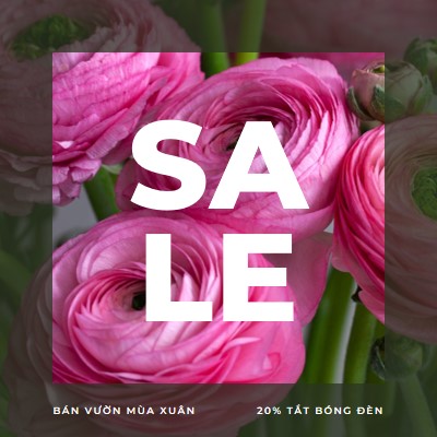 Khu vườn mùa xuân pink modern-simple