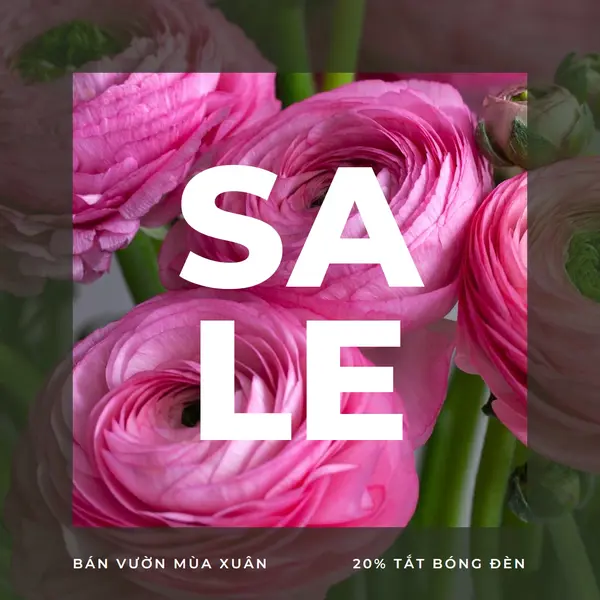 Khu vườn mùa xuân pink modern-simple