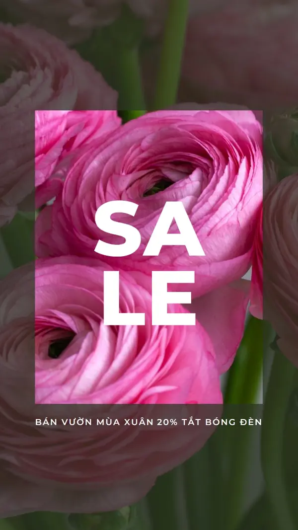 Khu vườn mùa xuân pink modern-simple