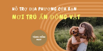 Người trợ giúp về nơi trú ẩn orange whimsical-color-block