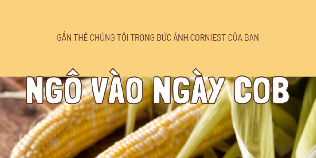 Đội hình cob yellow modern-simple